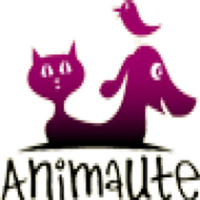 Animaute