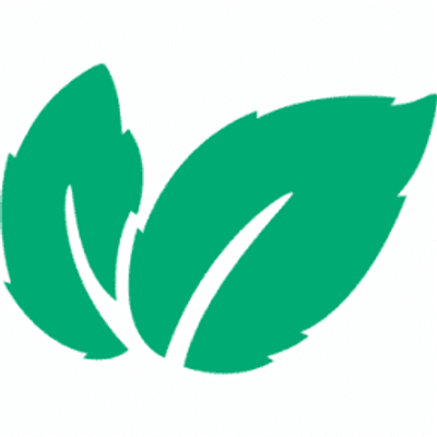 Mint Énergie