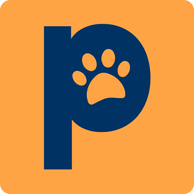Patolo